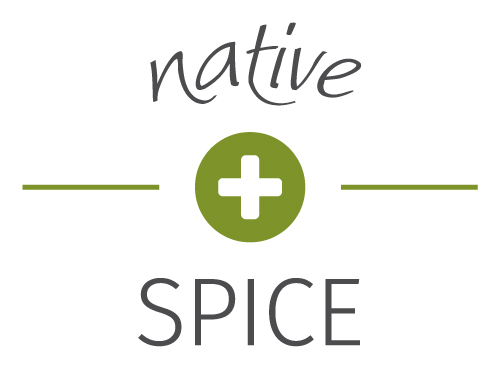 Logo_nativeSPICE